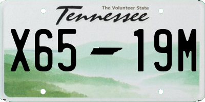 TN license plate X6519M