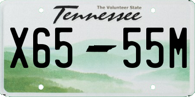 TN license plate X6555M