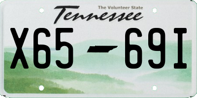 TN license plate X6569I