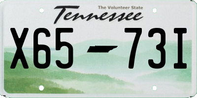 TN license plate X6573I