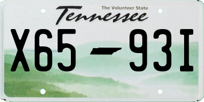 TN license plate X6593I
