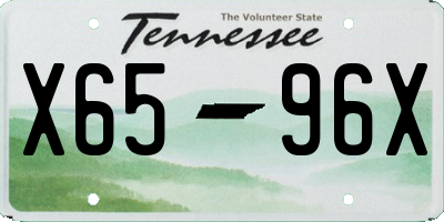 TN license plate X6596X