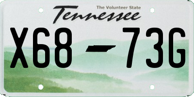 TN license plate X6873G