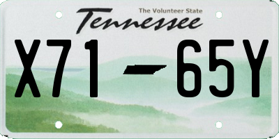 TN license plate X7165Y