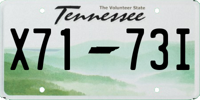 TN license plate X7173I