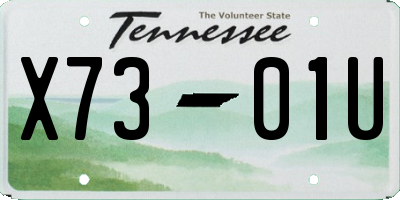 TN license plate X7301U
