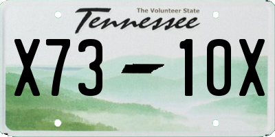 TN license plate X7310X