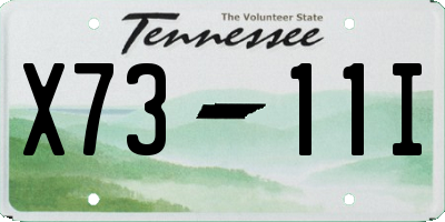 TN license plate X7311I