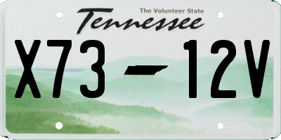 TN license plate X7312V