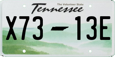 TN license plate X7313E