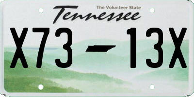 TN license plate X7313X