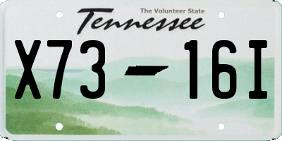 TN license plate X7316I