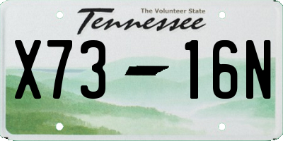 TN license plate X7316N
