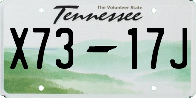 TN license plate X7317J