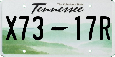TN license plate X7317R