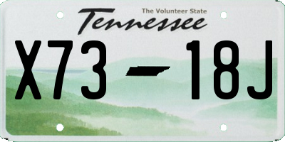 TN license plate X7318J