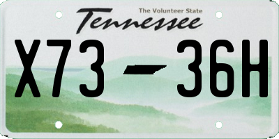 TN license plate X7336H