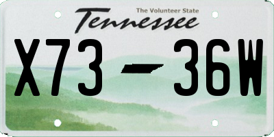 TN license plate X7336W