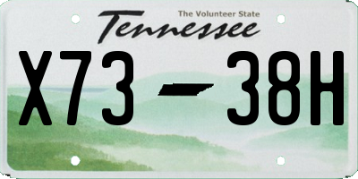 TN license plate X7338H