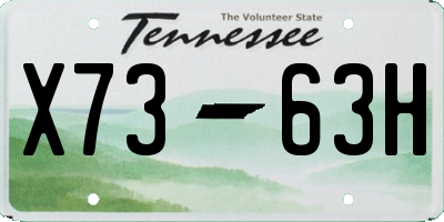 TN license plate X7363H