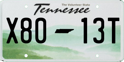 TN license plate X8013T