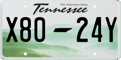 TN license plate X8024Y