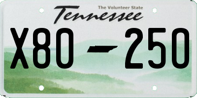TN license plate X8025O