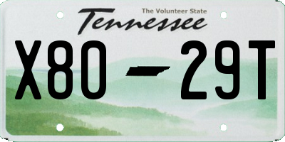 TN license plate X8029T