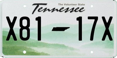 TN license plate X8117X