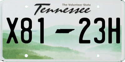 TN license plate X8123H