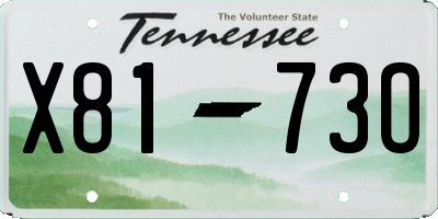 TN license plate X8173O