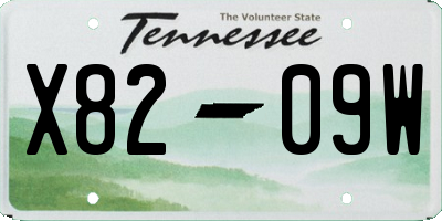TN license plate X8209W