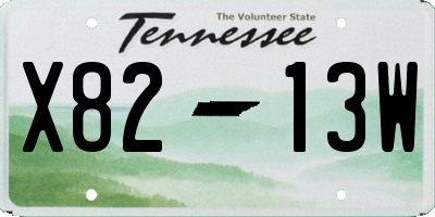 TN license plate X8213W