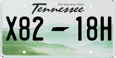 TN license plate X8218H