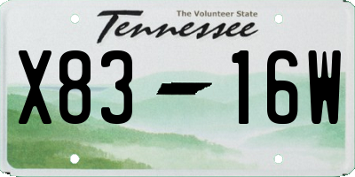 TN license plate X8316W