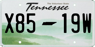 TN license plate X8519W