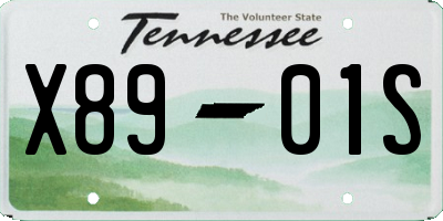 TN license plate X8901S