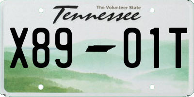 TN license plate X8901T