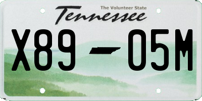 TN license plate X8905M