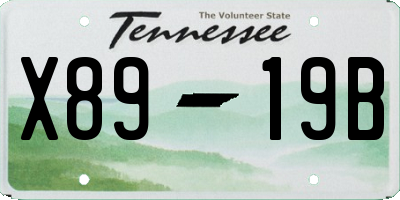 TN license plate X8919B