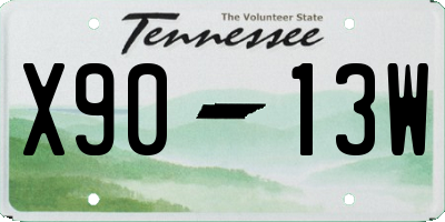 TN license plate X9013W