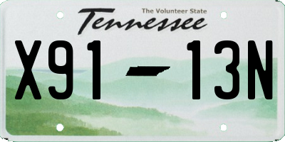 TN license plate X9113N