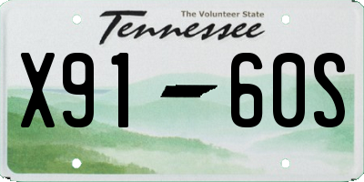 TN license plate X9160S