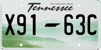 TN license plate X9163C