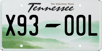 TN license plate X9300L