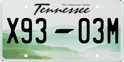 TN license plate X9303M