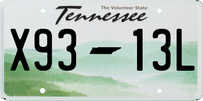 TN license plate X9313L
