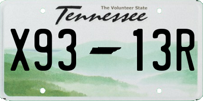 TN license plate X9313R