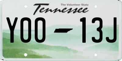 TN license plate Y0013J