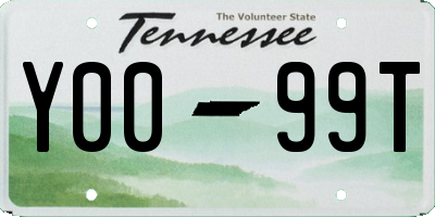 TN license plate Y0099T
